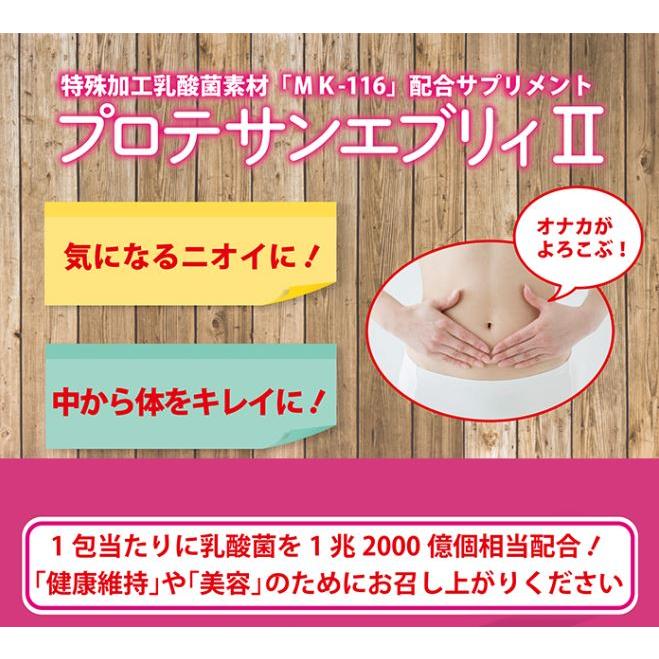NEW プロテサンエブリィ II 1箱62包入り 62g 1包中乳酸菌含有1 NEW プロテサンエブリィ II 1箱62包入り 62g 1包中乳酸菌含有1
