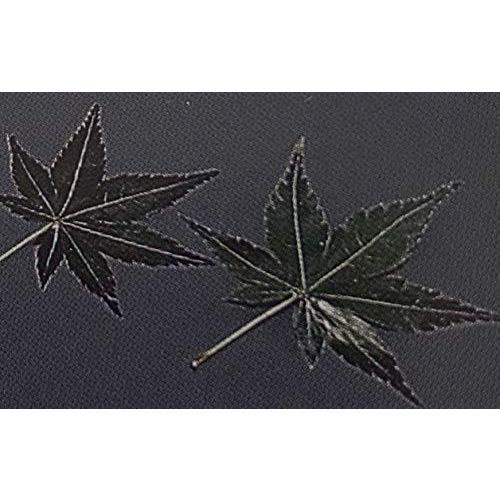 もみじの葉 青 0枚 25p 1枚約l8cmになります 1枚約8cm 業務用 製菓材料 パン材料 常温 紅葉 A B08kv5kc 常温 Replay ショッピングファッション