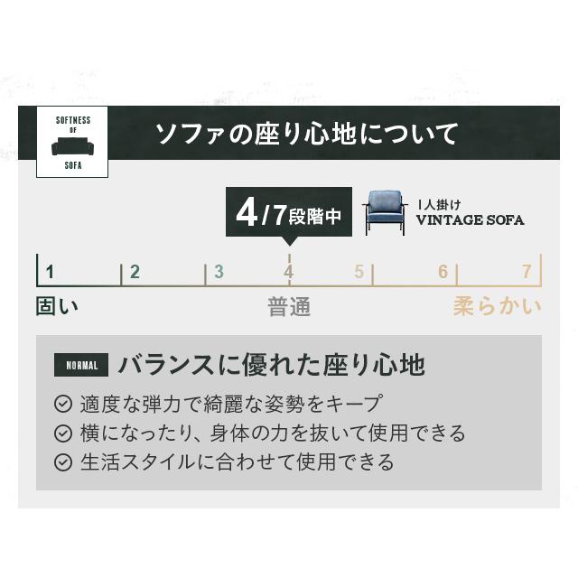 ソファー ソファ 送料無料 1人掛け １人掛け デニムソファー デニムソファ デニム おしゃれ ヴィンテージ |  | 10