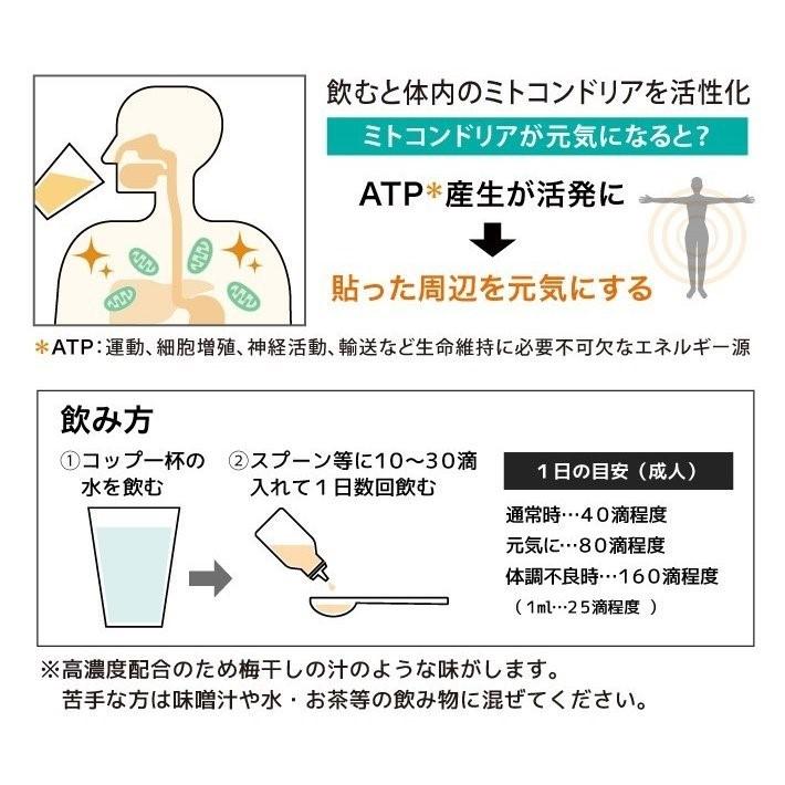【公式】ＲＥウォーター 健康Q 50ml スポーツ 酵素 ミネラル ミトコンドリア _001　免疫 体調管理 身体サポート 熱中症対策 疲れ 整える 元気 活力 代謝 　 |  | 04