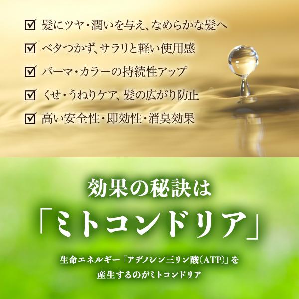 【公式】ＲＥウォーター エミニンエッセンス 300ml　ヘアトリートメント 髪 潤い _114 |  | 03