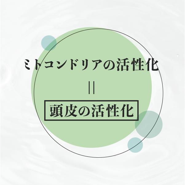 【公式】ＲＥウォーター エミニンエッセンス 300ml　ヘアトリートメント 髪 潤い _114 |  | 04