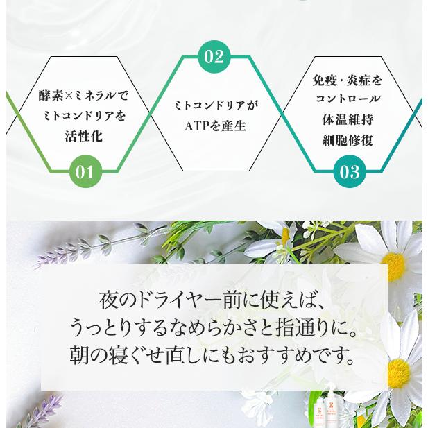 公式】REウォーター エミニンエッセンス付替用 300ml ヘア