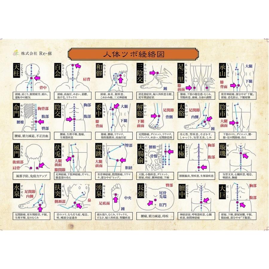 【公式】リ・ソビーム 永久使用タイプ 2粒 スポーツ 肩 腰 膝 関節 筋肉 痛み _078 |  | 03