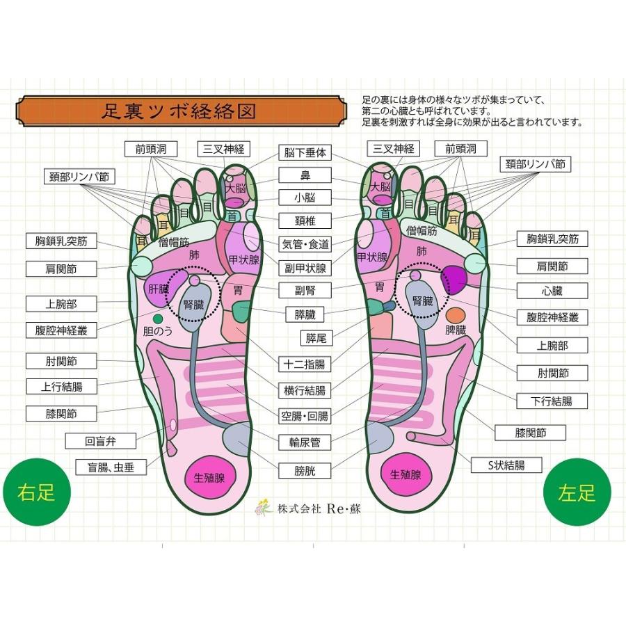 【公式】リ・ソビーム 永久使用タイプ 18粒 スポーツ 肩 腰 膝 関節 筋肉 痛み _002 |  | 02