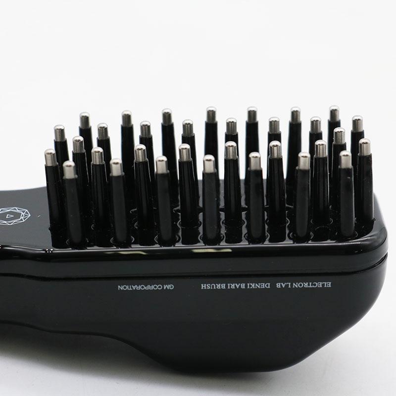 GMコーポレーション ELECTRONLAB デンキバリブラシ 電気