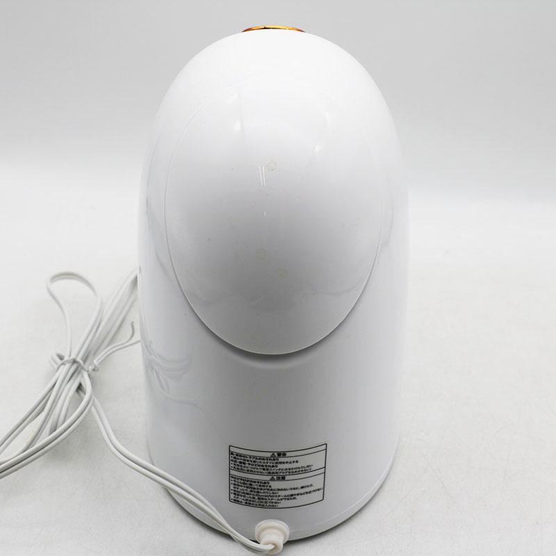 Amway フェイシャルスチーマー　ほぼ新品　送料込み 美品 アムウェイ アーティストリー フェイシャル スチーマー