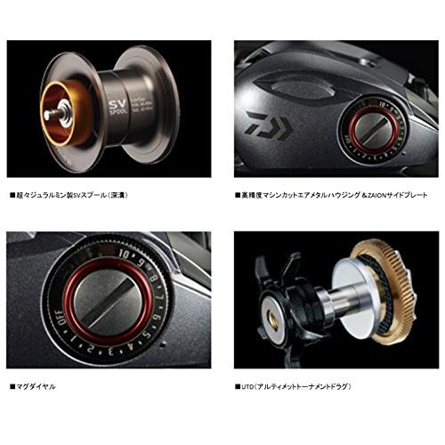 ダイワ(DAIWA) ベイトリール 14 DAIWA SS SV 103H (右ハンドル) 2014年モデル DAIWA
