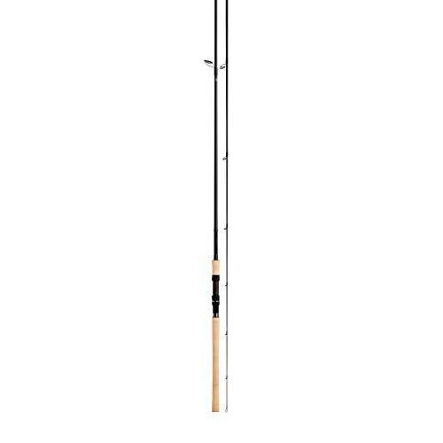 掘り出し物 ダイワ Daiwa ネイティブトラウトロッド ピュアリスト V 100mh V 釣り竿 同時購入 Www Ipcb Org Br