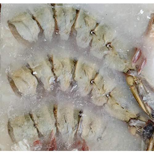 円 最安価格 特大 無頭 ブラックタイガー 4 6 1 8kg 約16 24匹 アイスブロック