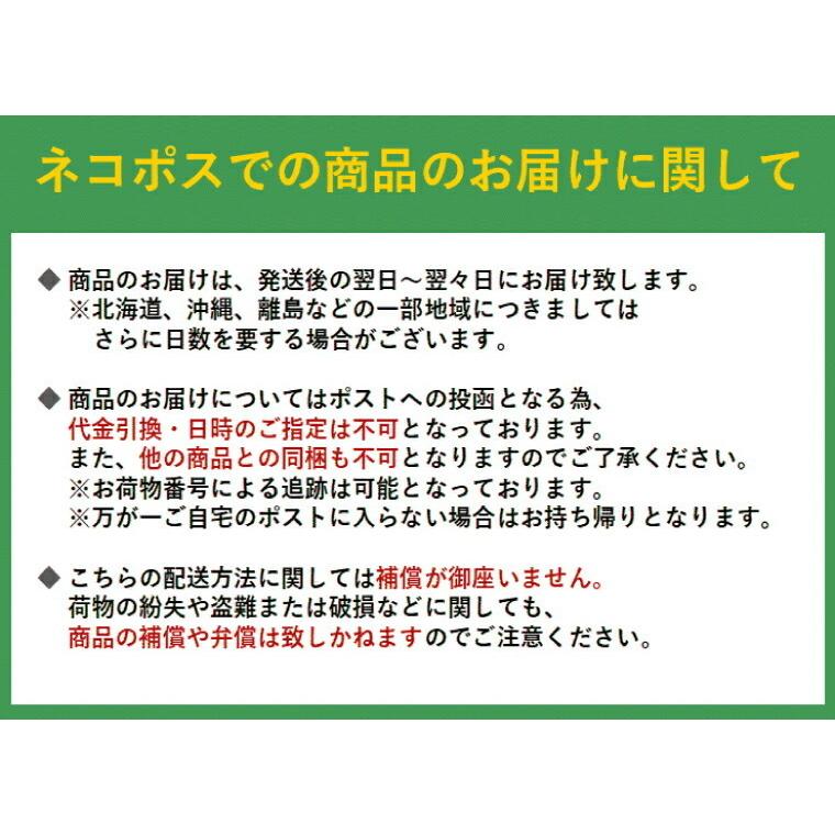 クオレ Kパレット 1DAY TATTOO プロキャスト ザ・アイライナー 01 アイスブラッ 02 ショコラブラウンブラック 03 ココアブラウン 04 アズキ 05 モーヴブラウン｜re-vinci｜12