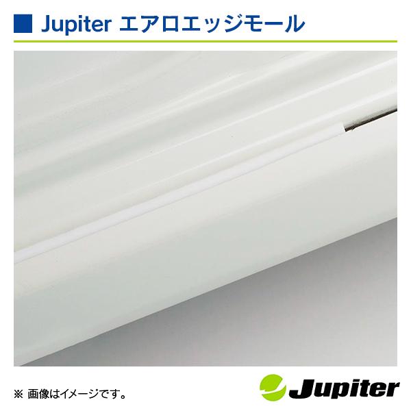 ジュピター エアロエッジモール ホワイト 5m エアロパーツと愛車を守るプロテクターモール！！ |  | 04
