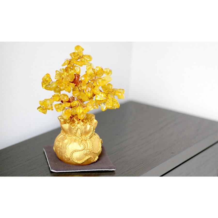 爆買 招財樹 金のなる木 シトリン 黄水晶 ジャパナイス BC550-1