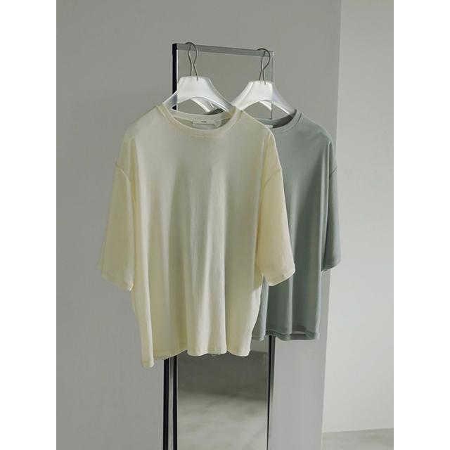 anuke GWも即日発送/anuke アンヌーク Sheer Velour T-shirts anuke GWも即日発送/anuke アンヌーク Sheer Velour T-shirts