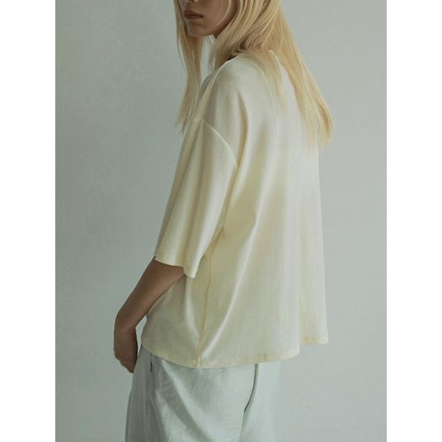 anuke GWも即日発送/anuke アンヌーク Sheer Velour T-shirts anuke GWも即日発送/anuke アンヌーク Sheer Velour T-shirts