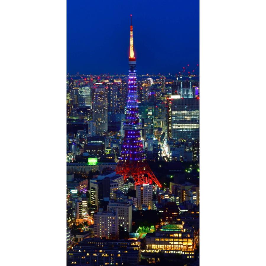 絵画風 壁紙ポスター 地球の撮り方 東京タワーを一望 六本木ヒルズ展望台 東京シティビュー からの夜景 C Zjp 110s1 576mm 1152mm Zjp 110s1 レアルインターショップ 通販 Yahoo ショッピング