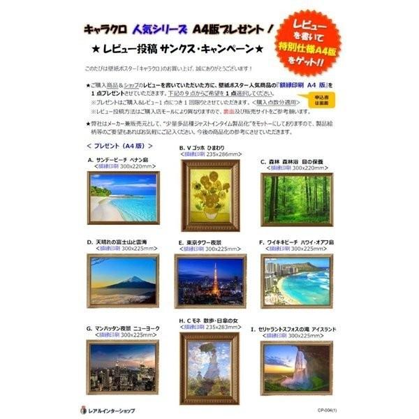 絵画風 壁紙ポスター オーロラ 南極光 サザンライト 南極基地 神秘 キャラクロ Arr 009a2 A2版 594mm 420mm Arr 009a2 レアルインターショップ 通販 Yahoo ショッピング