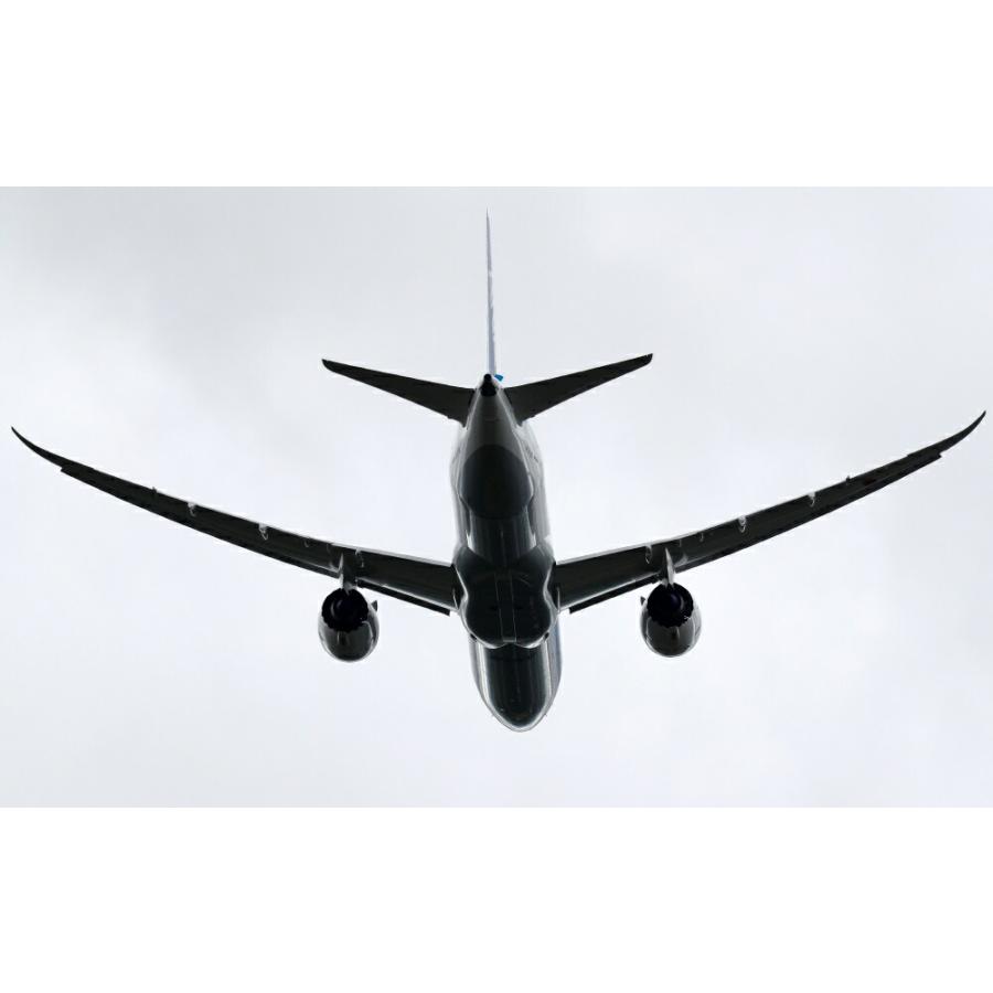 絵画風 壁紙ポスター 天井 天窓用 Ana ボーイング 787 ドリームライナー 上空 シルエット Boeing 全日空 キャラクロ 87 029w2 ワイド版 603mm 376mm 87 029w2 レアルインターショップ 通販 Yahoo ショッピング