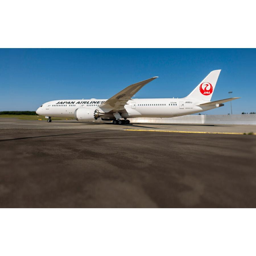 絵画風 壁紙ポスター Jal ボーイング 787 9 ドリームライナー Ja861j 15年運航開始 次世代中型ジェット旅客機 Boeing 87 030w2 ワイド版 603mm 376mm 87 030w2 レアルインターショップ 通販 Yahoo ショッピング