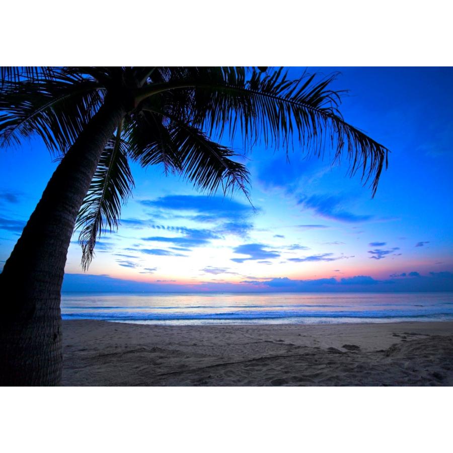 絵画風 壁紙ポスター 夜明けのビーチ カリブ海の日の出 ヤシの木 海 楽園 癒し キャラクロ h 029a1 A1版 0mm 585mm h 029a1 レアルインターショップ 通販 Yahoo ショッピング