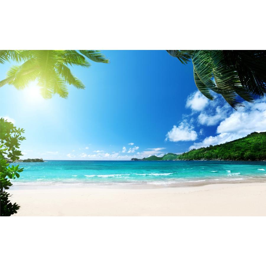 パノラマ窓仕様】ビーチ 海 砂浜 桟橋 カリブ海 海 壁紙ポスター