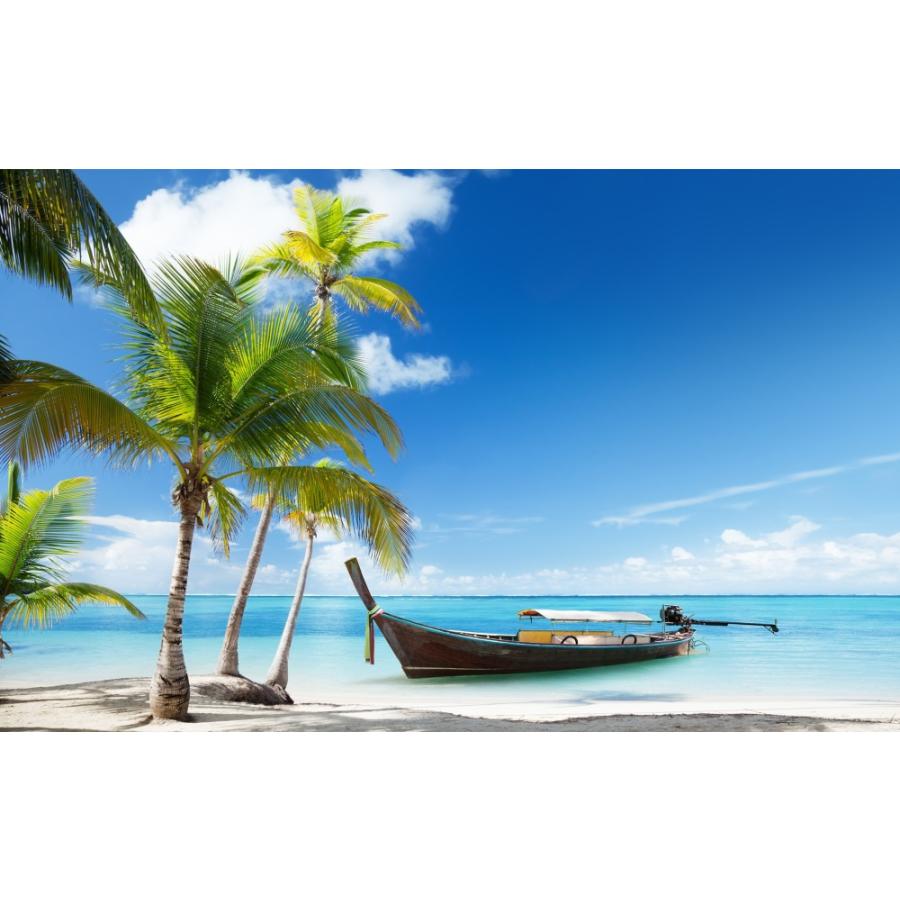 絵画風 壁紙ポスター プーケット ビーチのヤシの木とボート 海 キャラクロ h 059w1 ワイド版 921mm 576mm h 059w1 レアルインターショップ 通販 Yahoo ショッピング
