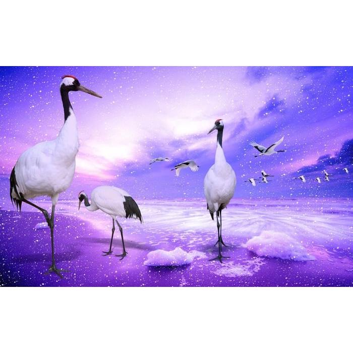 絵画風 壁紙ポスター タンチョウの楽園 丹頂鶴 ツル 鶴 鳥 キャラクロ Btsl 001w1 ワイド版 921mm 576mm Btsl 001w1 レアルインターショップ 通販 Yahoo ショッピング