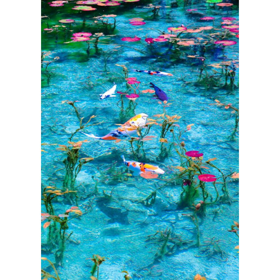 絵画風 壁紙ポスター 地球の撮り方 まるで絵画 岐阜県関市の モネの池 名前のない池 絶景スポット キャラクロ C Zjp 003a2 版 4mm 594mm C Zjp 003a2 レアルインターショップ 通販 Yahoo ショッピング
