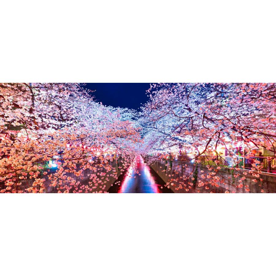 絵画風 壁紙ポスター 地球の撮り方 輝く川面 東京都目黒川の夜桜ライトアップ さくら 桜 パノラマ 絶景スポット C Zjp 008p1 パノラマ版 1440mm 576mm C Zjp 008p1 レアルインターショップ 通販 Yahoo ショッピング