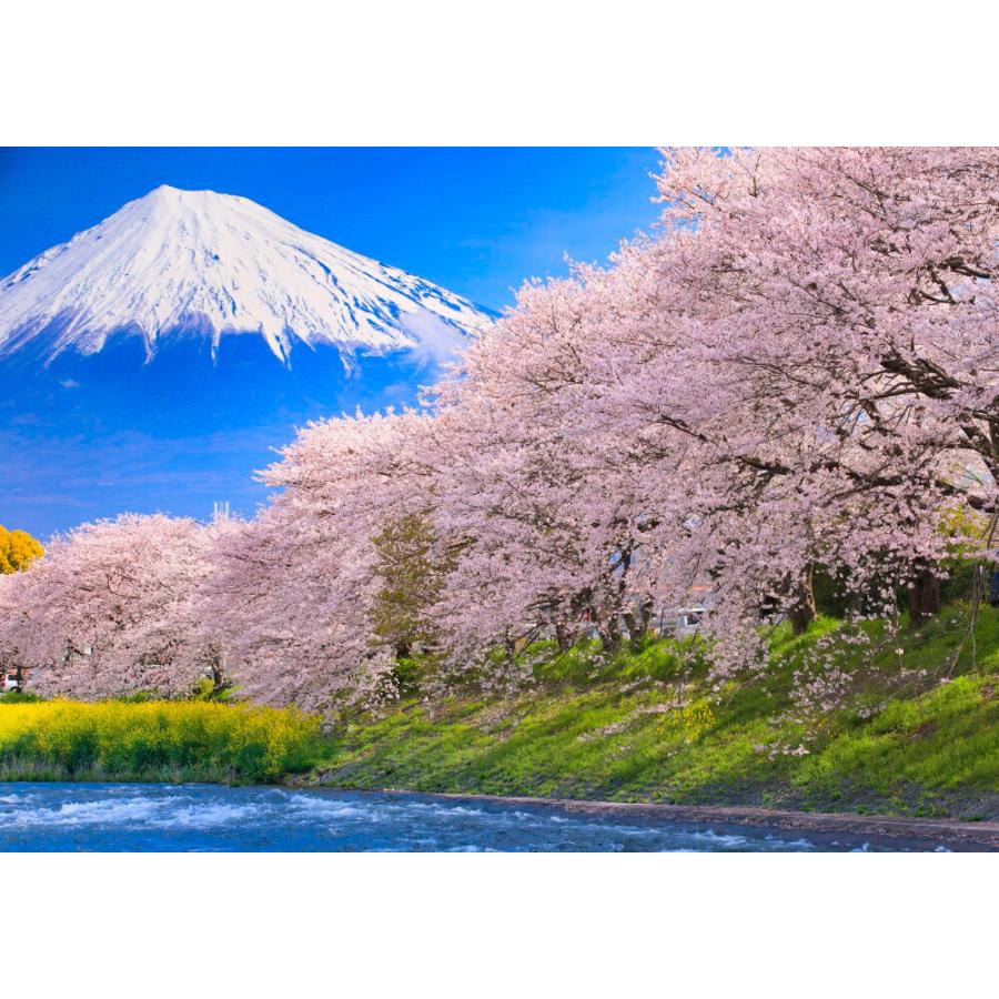 絵画風 壁紙ポスター はがせるシール式 地球の撮り方 龍巌淵 りゅうがんぶち の桜と富士山 さくら 桜 キャラクロ C Zjp 009a2 版 594mm 4mm C Zjp 009a2 レアルインターショップ 通販 Yahoo ショッピング