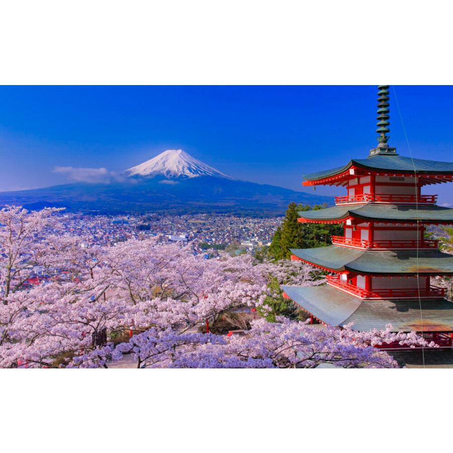 絵画風 壁紙ポスター 地球の撮り方 The Japanな絶景 桜富士 新倉山浅間公園の忠霊塔と桜 富士山 さくら C Zjp 010w2 ワイド版 603mm 376mm C Zjp 010w2 レアルインターショップ 通販 Yahoo ショッピング