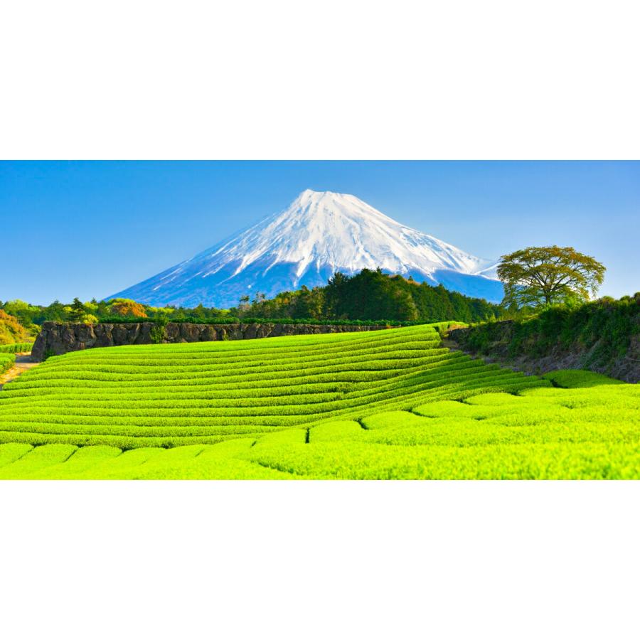 絵画風 壁紙ポスター 地球の撮り方 新緑の絨毯 今宮の新芽の茶畑と富士山の絶景 静岡県富士市 パノラマ C Zjp 011s1 1152mm 576mm C Zjp 011s1 レアルインターショップ 通販 Yahoo ショッピング