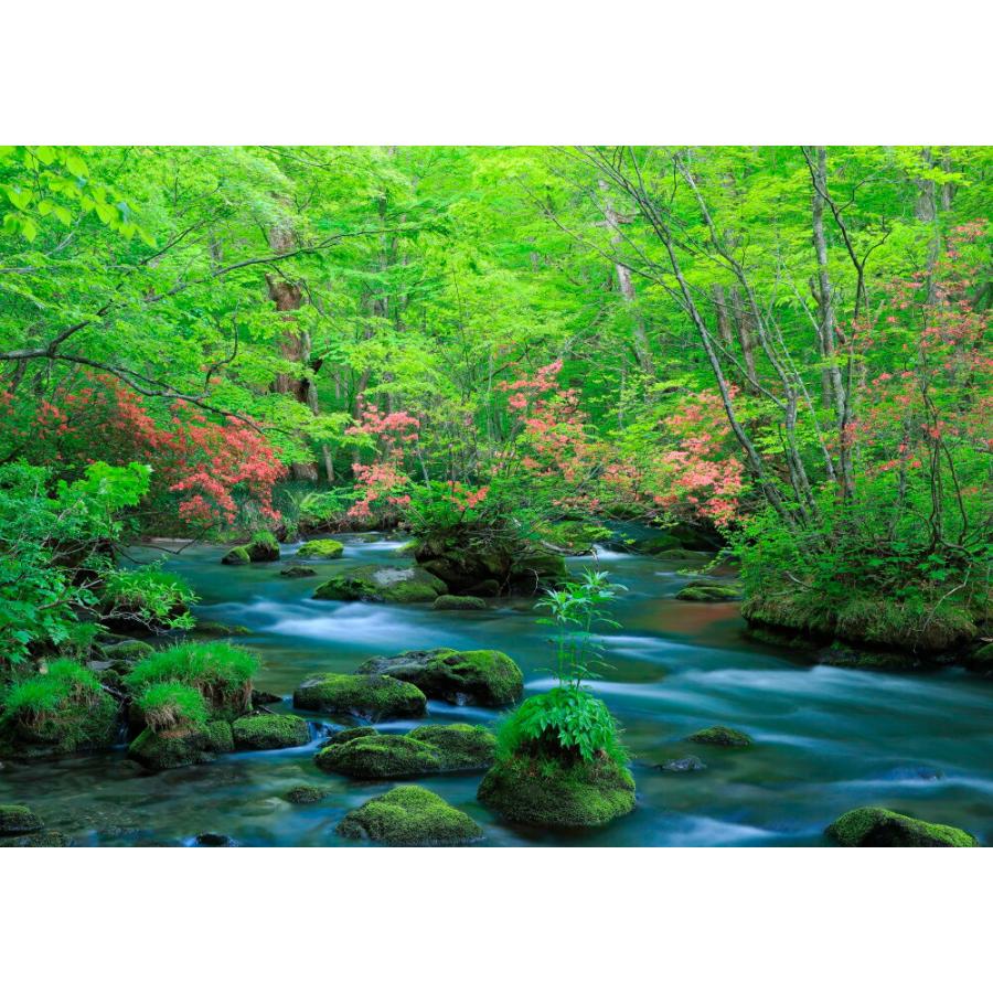 絵画風 壁紙ポスター 地球の撮り方 ツツジ映える新緑の奥入瀬渓流 青森県十和田市 日本の絶景 キャラクロ C Zjp 046a1 A1版 0mm 585mm C Zjp 046a1 レアルインターショップ 通販 Yahoo ショッピング