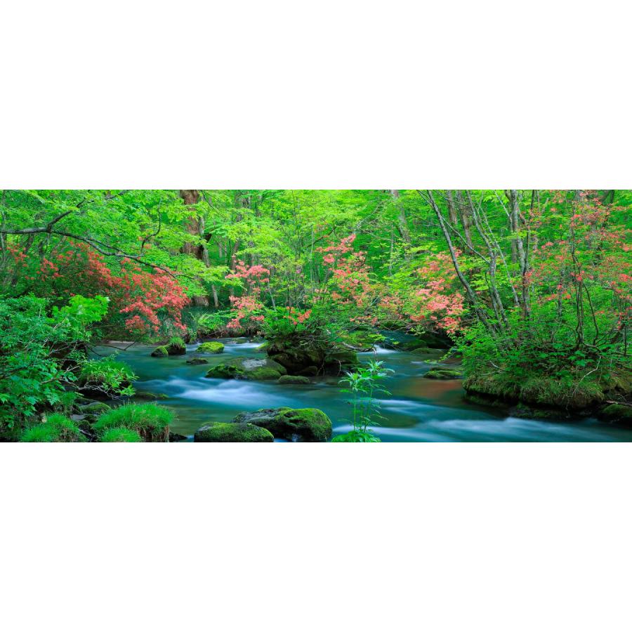 絵画風 壁紙ポスター 地球の撮り方 ツツジ映える新緑の奥入瀬渓流 青森県十和田市 パノラマ 日本の絶景 C Zjp 046p1 パノラマ版 1440mm 576mm C Zjp 046p1 レアルインターショップ 通販 Yahoo ショッピング