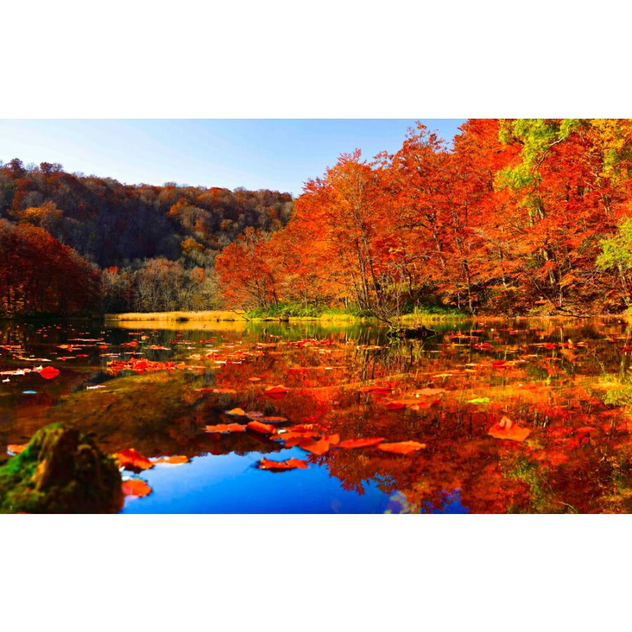 絵画風 壁紙ポスター 地球の撮り方 赤のシンメトリーの絶景 紅葉の蔦沼の朝焼け 青森県十和田市 日本の絶景 C Zjp 070w1 ワイド版 921mm 576mm C Zjp 070w1 レアルインターショップ 通販 Yahoo ショッピング
