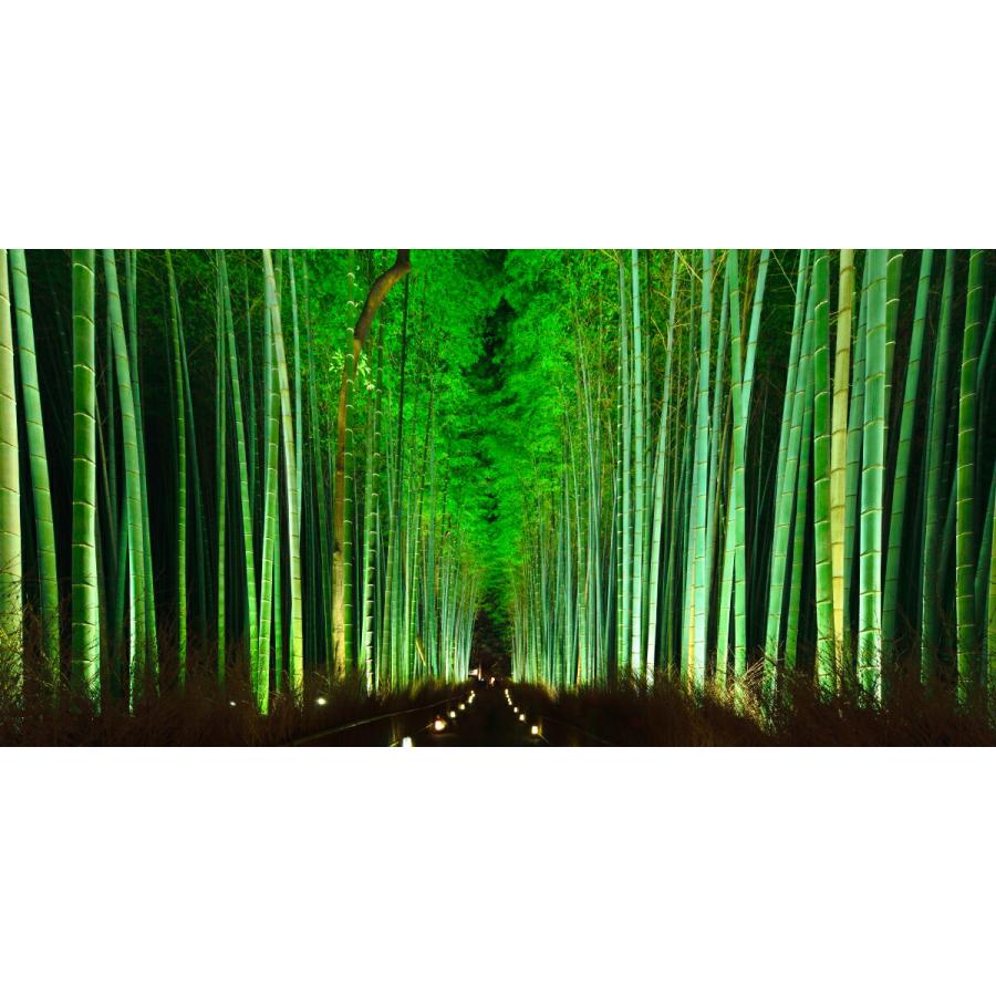 絵画風 壁紙ポスター 地球の撮り方 浮かび上がる竹の道 京都嵐山のライトアップされる嵯峨野 竹林の道 パノラマ 日本の絶景 C Zjp 073s1 1152mm 576mm C Zjp 073s1 レアルインターショップ 通販 Yahoo ショッピング