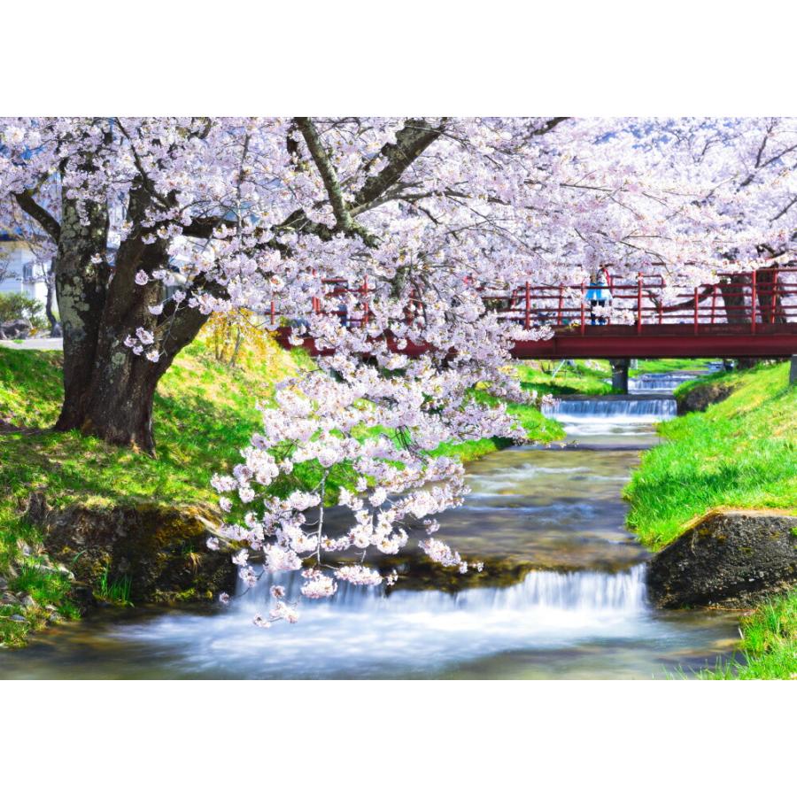 絵画風 壁紙ポスター 地球の撮り方 流れ落ちる段々の川と桜の絶景 猪苗代町の観音寺川の桜並木 日本の絶景 キャラクロ C Zjp 077a2 版 594mm 4mm C Zjp 077a2 レアルインターショップ 通販 Yahoo ショッピング