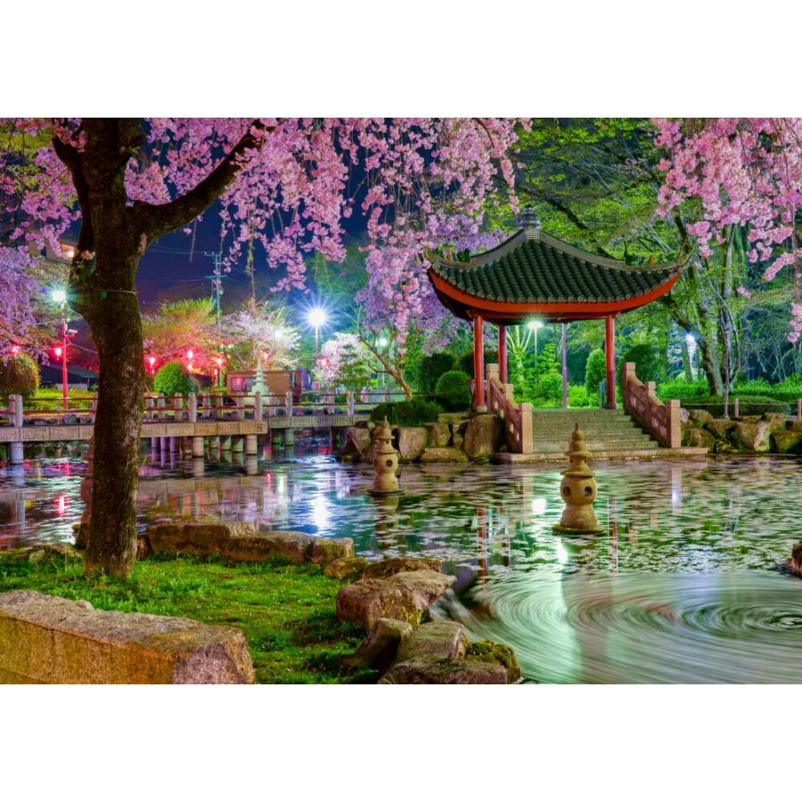 絵画風 壁紙ポスター 地球の撮り方 花びらグルグルの絶景 岐阜公園の日中友好庭園の桜のライトアップ 日本の絶景 C Zjp 087a2 版 594mm 4mm C Zjp 087a2 レアルインターショップ 通販 Yahoo ショッピング