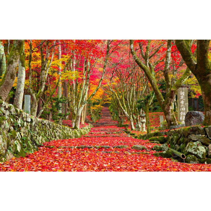 リアル 紅葉 ポスター 絵 楽天市場 絵画風 壁紙ポスター はがせる