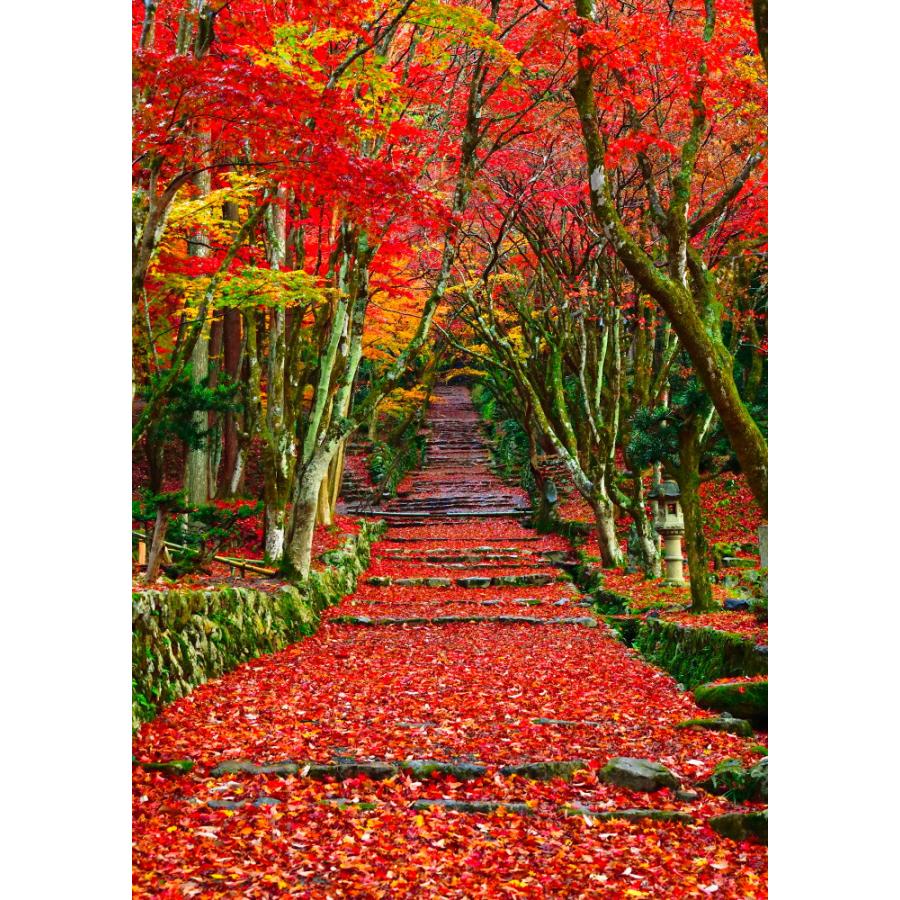 絵画風 壁紙ポスター 地球の撮り方 広がる赤もみじの絨毯 滋賀県の鶏足寺の紅葉 日本の絶景 キャラクロ C Zjp 090a2 版 4mm 594mm C Zjp 090a2 レアルインターショップ 通販 Yahoo ショッピング