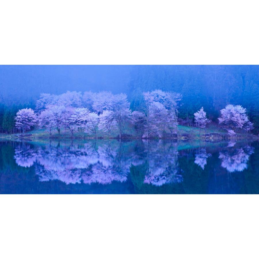 絵画風 壁紙ポスター はがせるシール式 地球の撮り方 月光に映る中綱湖の逆さ桜と青木湖の一本桜 パノラマ キャラクロ C Zjp 093s1 1152mm 576mm C Zjp 093s1 レアルインターショップ 通販 Yahoo ショッピング