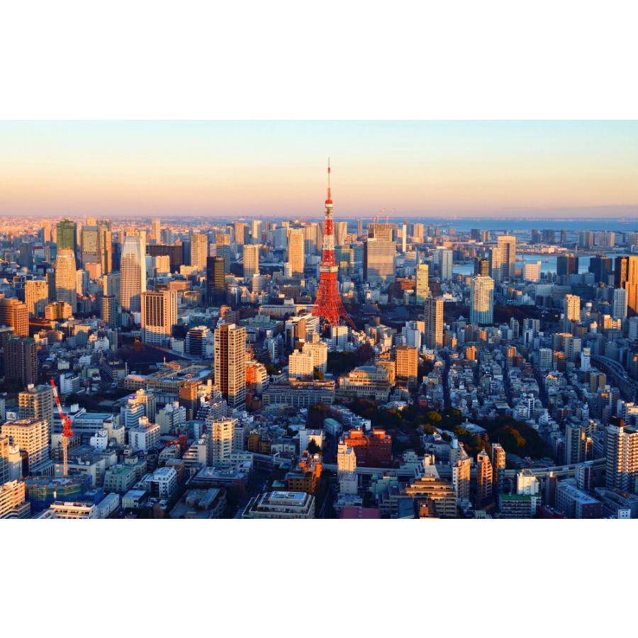 絵画風 壁紙ポスター 地球の撮り方 東京タワーを一望 六本木ヒルズ展望台 東京シティビュー からの夕暮れ夜景 C Zjp 101bw2 ワイド版 603mm 376mm C Zjp 101bw2 レアルインターショップ 通販 Yahoo ショッピング
