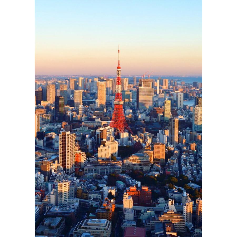 絵画風 壁紙ポスター 地球の撮り方 東京タワーを一望 六本木ヒルズ展望台 東京シティビュー からの夕暮れ夜景 C Zjp 102ba2 版 4mm 594mm C Zjp 102ba2 レアルインターショップ 通販 Yahoo ショッピング