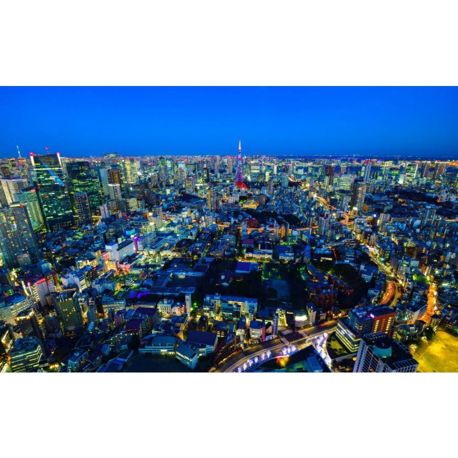 絵画風 壁紙ポスター はがせるシール式 地球の撮り方 東京タワーを一望 六本木ヒルズ展望台 夜景 キャラクロ C Zjp 104bw1 ワイド版 921mm 576mm C Zjp 104bw1 レアルインターショップ 通販 Yahoo ショッピング