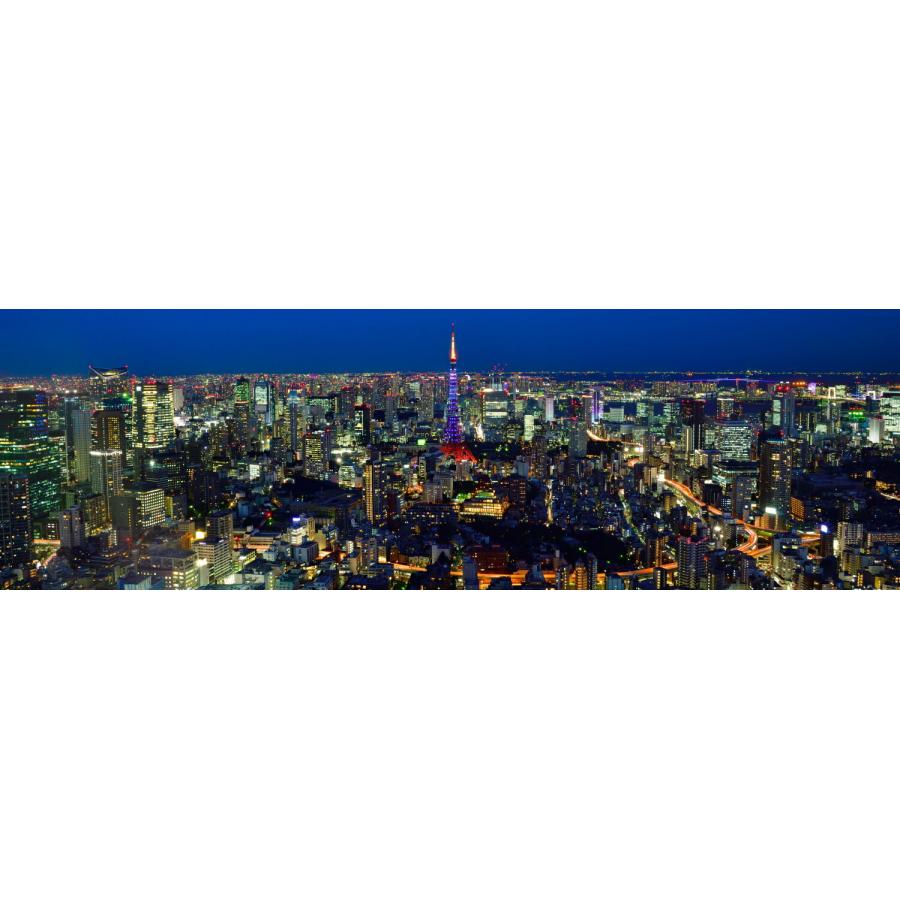 配送員設置 東京タワーを一望 六本木ヒルズ展望台 東京シティビュー からの夜景 地球の撮り方 壁紙ポスター 絵画風 C Zjp 108l1 1843mm 576mm パノラマl版 ウォールステッカー Www Goldenshoppingcalhau Com Br
