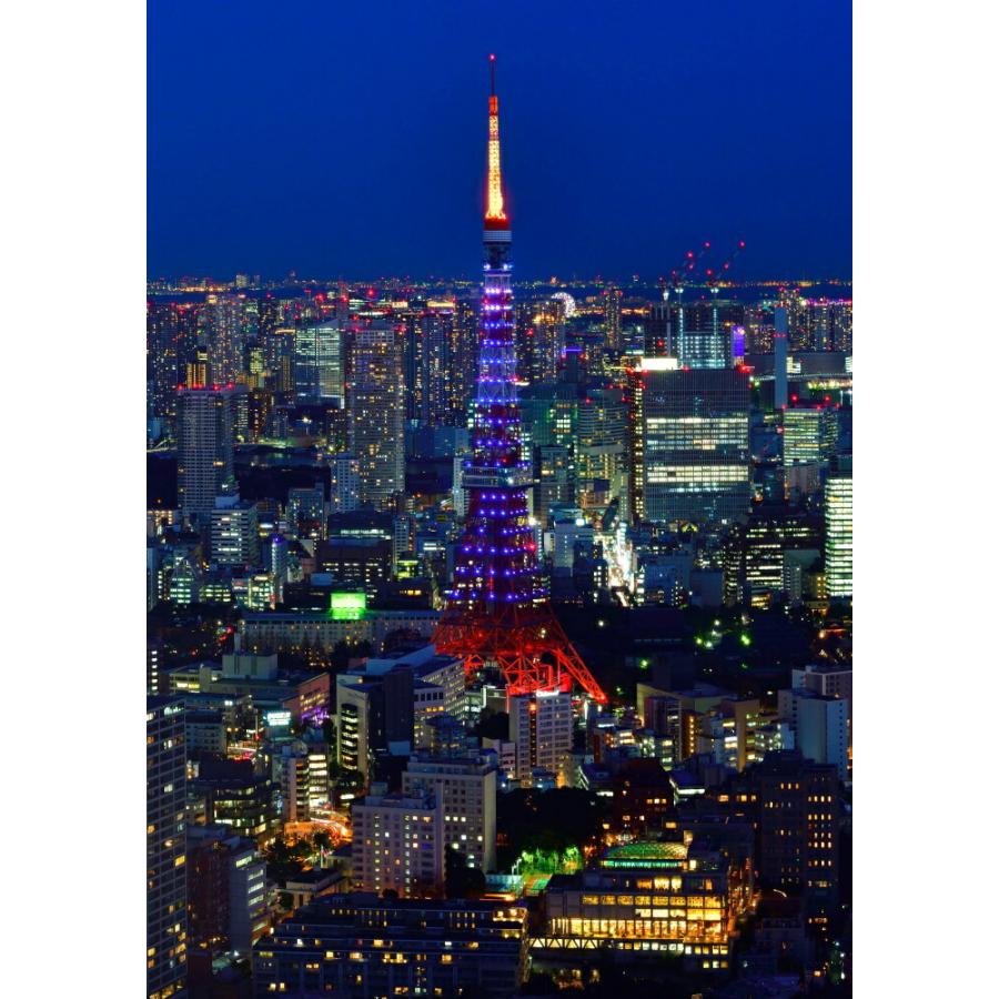 絵画風 壁紙ポスター はがせるシール式 地球の撮り方 東京タワーを一望 六本木ヒルズ展望台 夜景 キャラクロ C Zjp 110a2 版 4mm 594mm C Zjp 110a2 レアルインターショップ 通販 Yahoo ショッピング