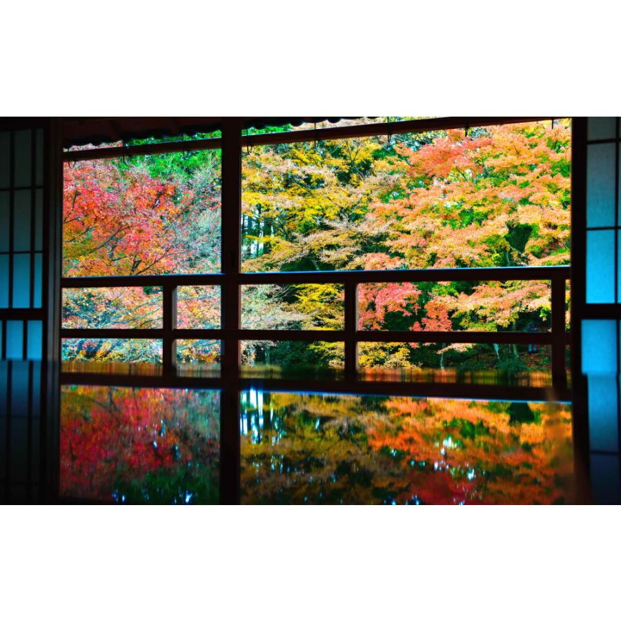 絵画風 壁紙ポスター 地球の撮り方 滋賀の紅葉の名勝 旧竹林院の庭園とリフレクション 日本の絶景 キャラクロ C Zjp 115w1 ワイド版 921mm 576mm ウォールステッカー Robertoortiz Com Co
