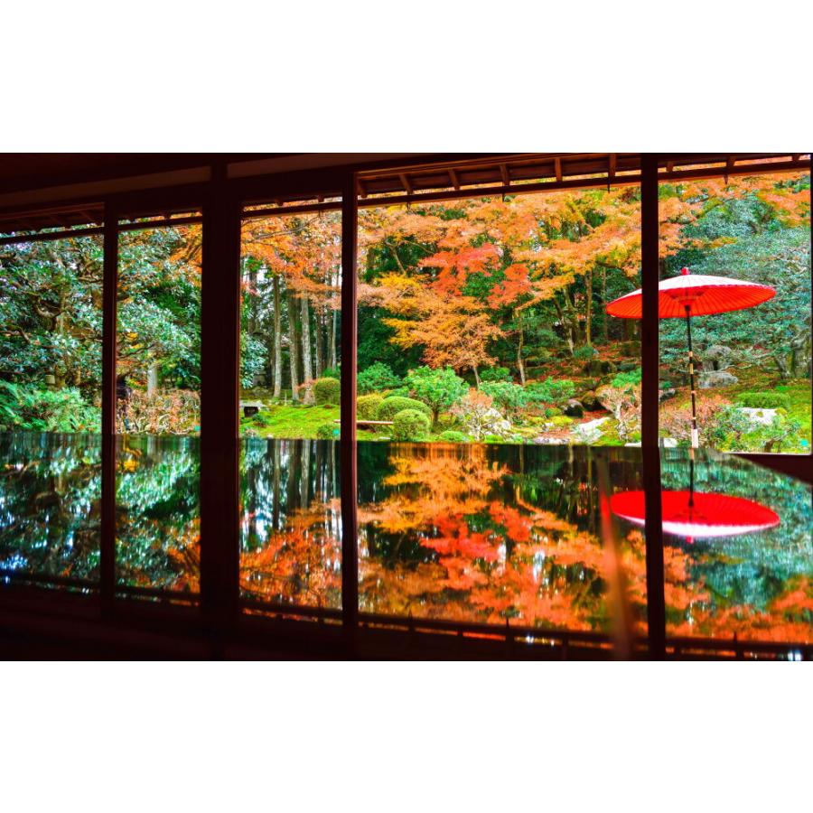 絵画風 壁紙ポスター 地球の撮り方 滋賀の紅葉の名勝 旧竹林院の庭園とリフレクション 日本の絶景 キャラクロ C Zjp 118w2 ワイド版 603mm 376mm C Zjp 118w2 レアルインターショップ 通販 Yahoo ショッピング
