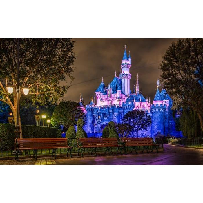 絵画風 壁紙ポスター ディズニーランド カリフォルニア 夜景