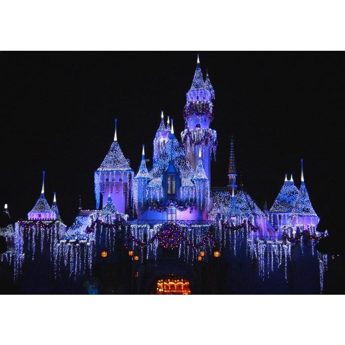 絵画風 壁紙ポスター ディズニーランド カリフォルニア 夜景 キャラクロ Dnlc 003a1 A1版 0mm 585mm Dnlc 003a1 レアルインターショップ 通販 Yahoo ショッピング